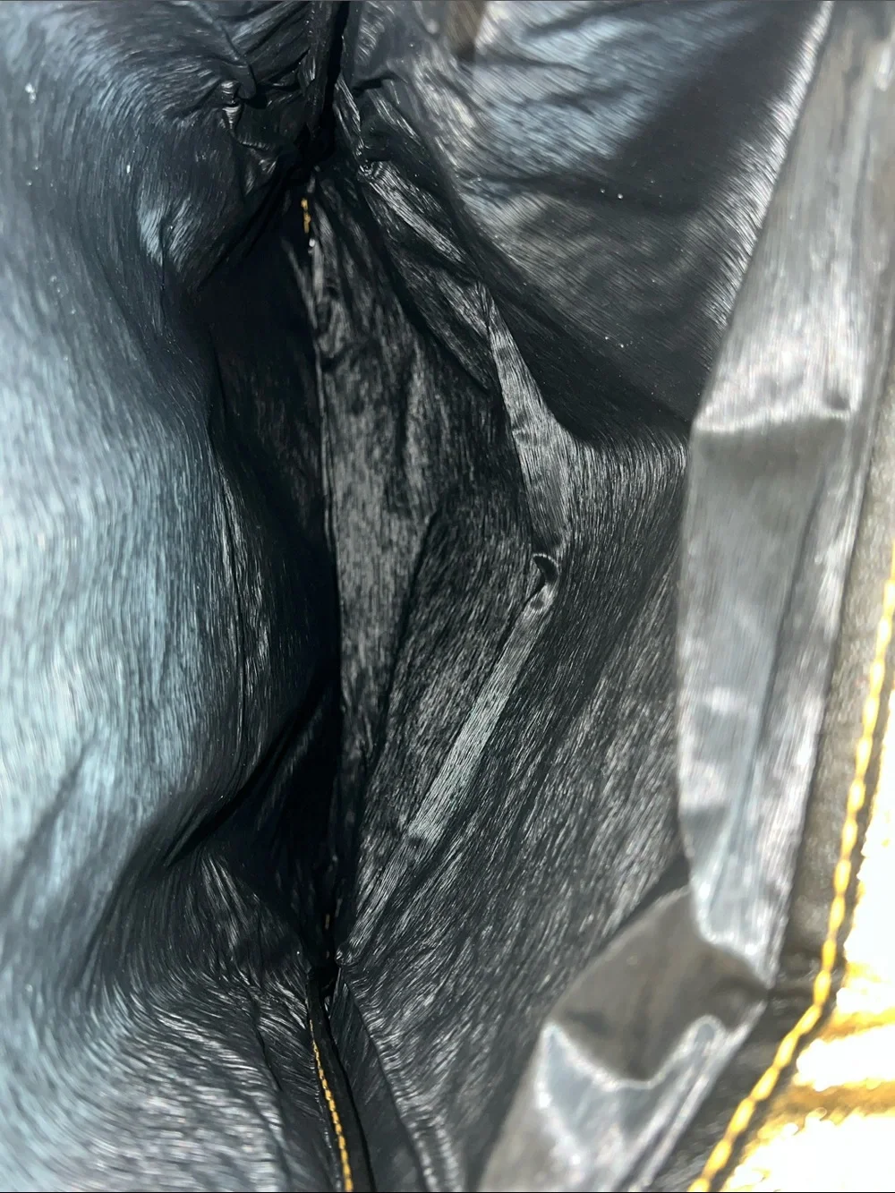 Lady’s Pride Tote-All shimmering metallic